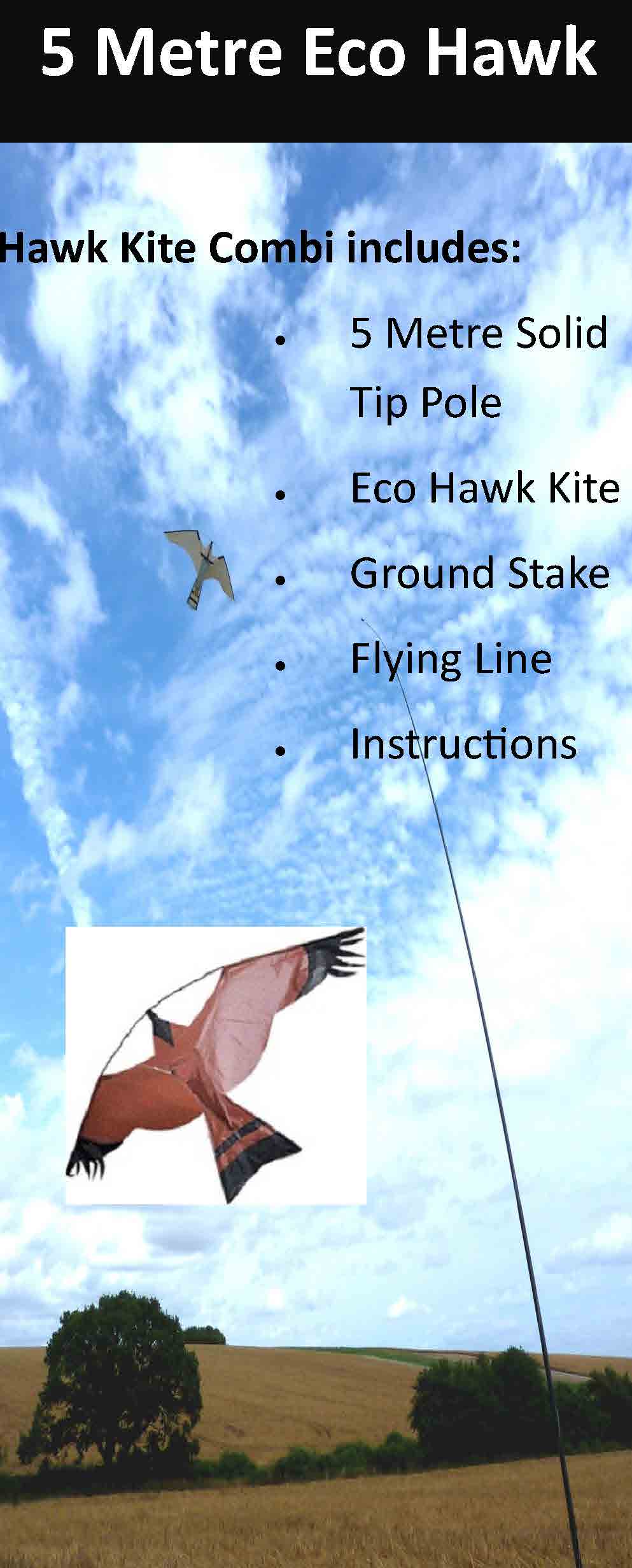 Eco Hawk Kite 