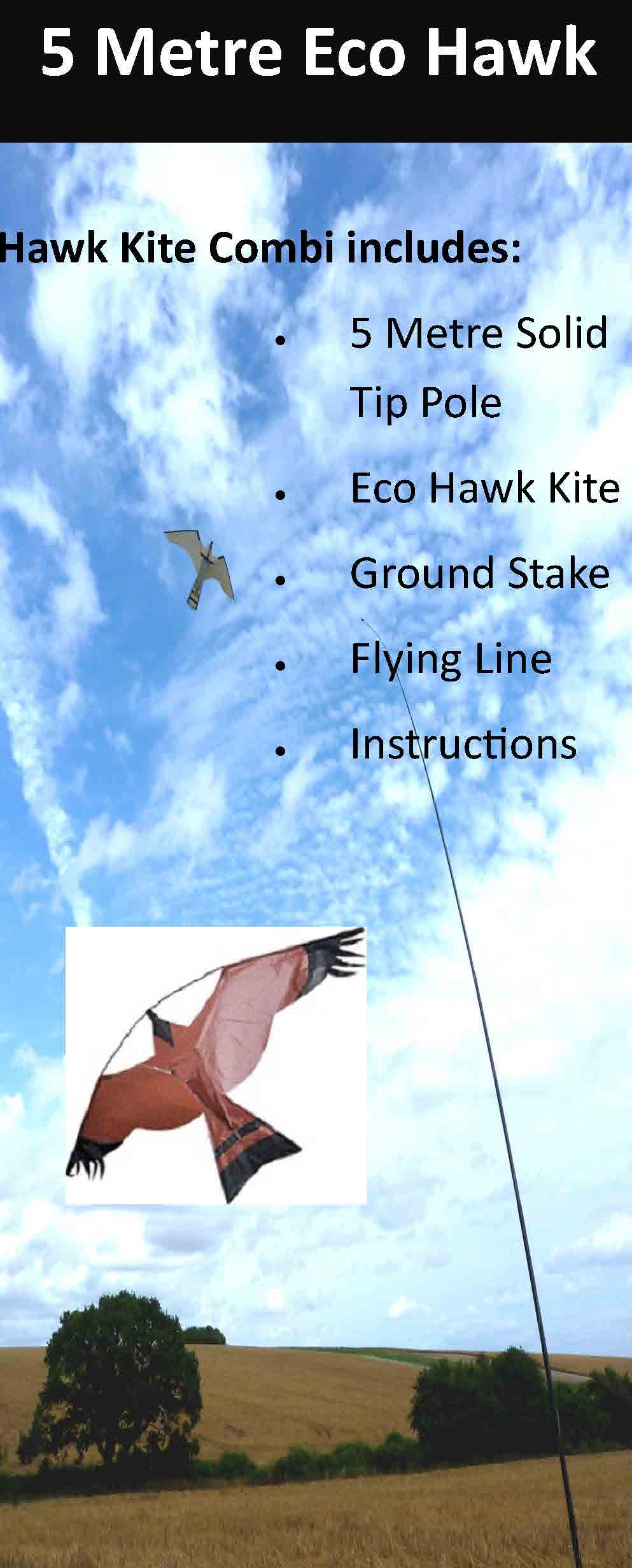 Eco Hawk Kite