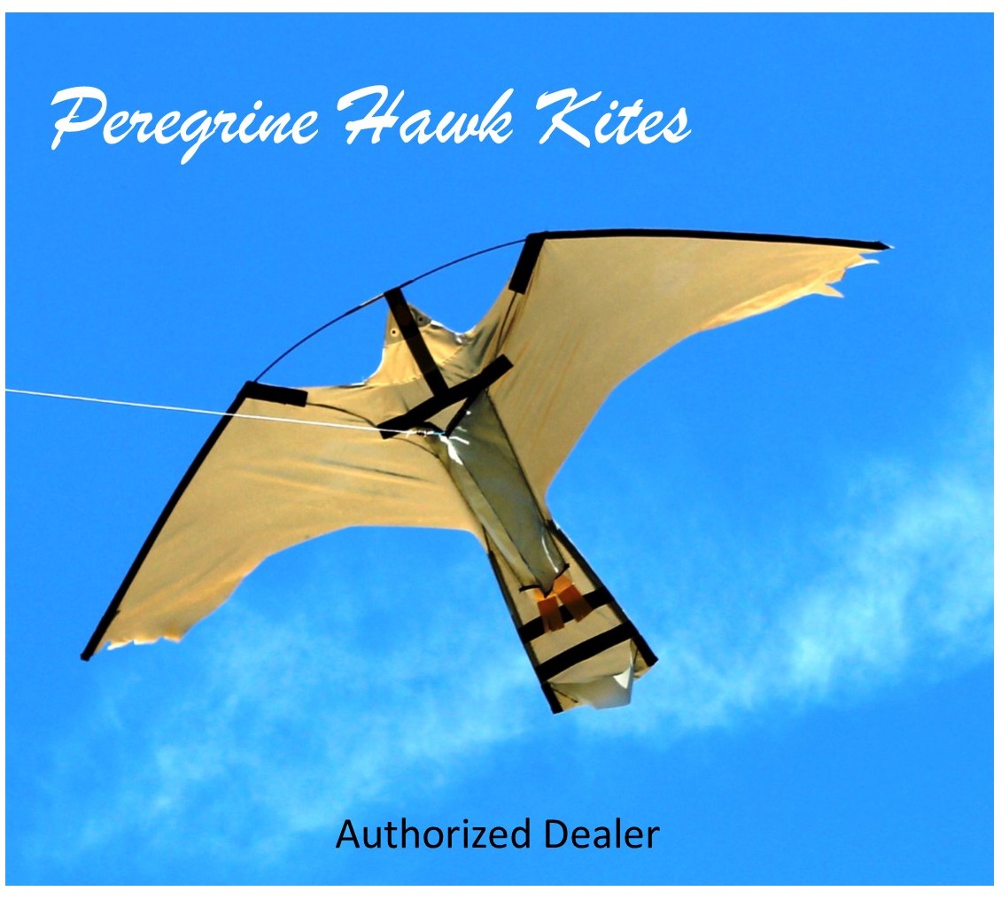 Authourized Hawk Kite Distributor 